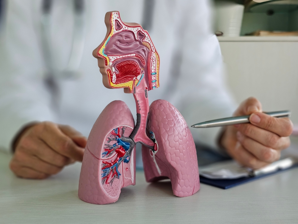 Respiratory therapy equipment model